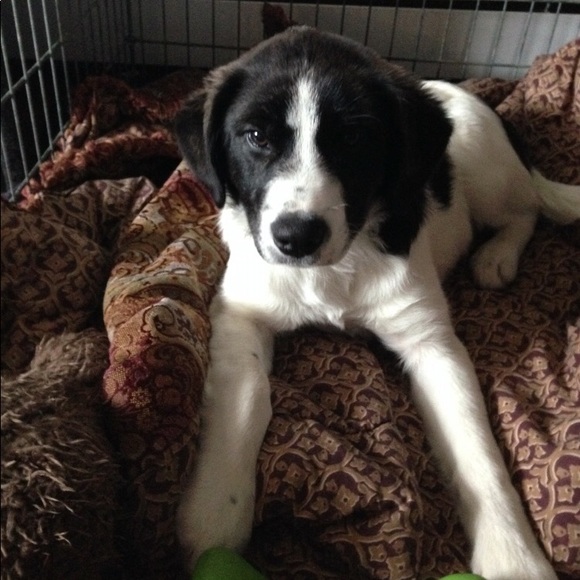 Meet the Posher Other - Meet your Posher, Earl